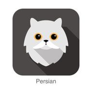 Persian Cat breed face cartoon flat icon design