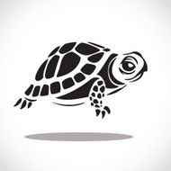 Turtle N25