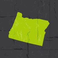 Detailed map of oregon state grunge style