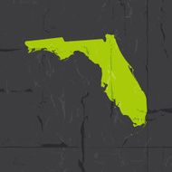 Detailed map of Florida state grunge style