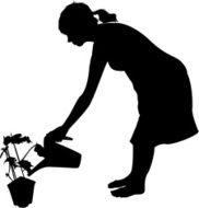 Woman Watering House Plant