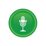 microphone icon web N29