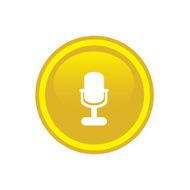 microphone icon web N30