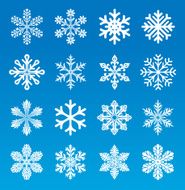 Set of 16 vector image snowflakes
