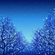 Winter background Blue illumination and Deciduous trees