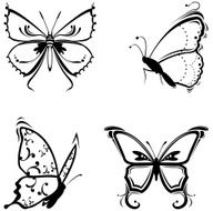 Butterfly Tattoo N11