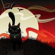 Black Cat (Halloween Night)