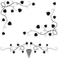 Vine design elements N2