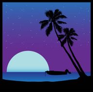 Beach silhouette at night