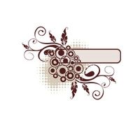 floral frame N267