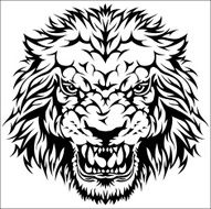 Head of angry lion