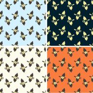 birds patterns