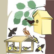 Bird Feeders N4