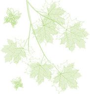 Green branch N3