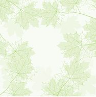 Green branches