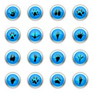 Blue Icons - Animal Tracks