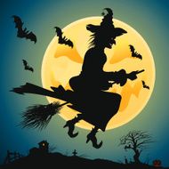 Witch On A Broom N6