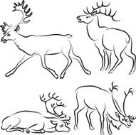 Deers N9