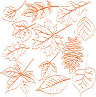 Leaves N117