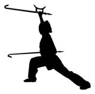 Kung Fu Silhouette N7
