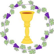 grape wine N4