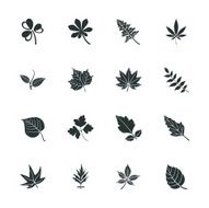 Leafs Shape Silhouette Icons