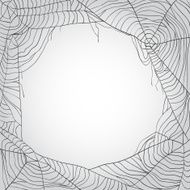 Grey spider&#039;s web background with copy space