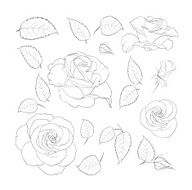 Set of vintage flowers N2