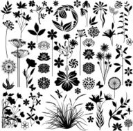 Plants and flowers collection