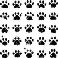 Cat Paw Prints N23