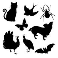 Vector set silhouettes N2