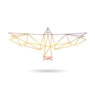 Eagle abstract isolated on a white background N2