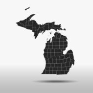 Michigan Map N10