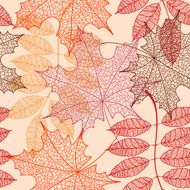 Seamless pattern of autumn leaves N13