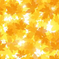 Seamless pattern with autumn maple leaves Vector illustration N5