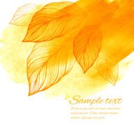 Fall Leaf Vector Illustration N11