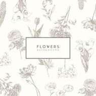 Trendy collection hand drawn flowers floral set N2