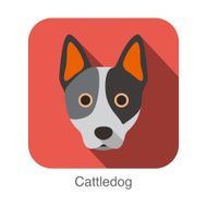 Australian cattle dog face flat icon series