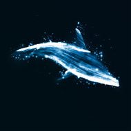 Neon dolphin abstract futuristic art N7