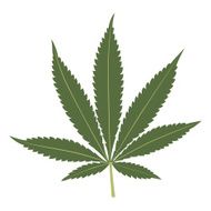 Cannabis leaf isolated on white background Marijuana silho