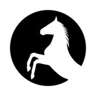 Horse N136