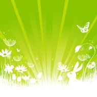 Spring Summer concept on green with rabbit flowers &amp; butterfly