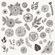 Summer flowers N24