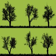 Vector silhouette of tree N43