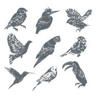Ink hand drawn bird set N2
