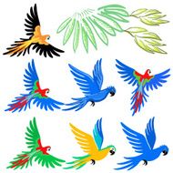 Macaw parrot pattern set N2
