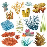 Set of corals and algaes