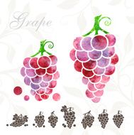 Red Grape icons set