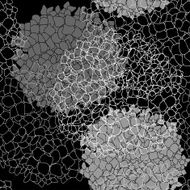 Vector seamless floral pattern with hydrangea N4