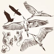 Set of vector hand drawn birds and swirls